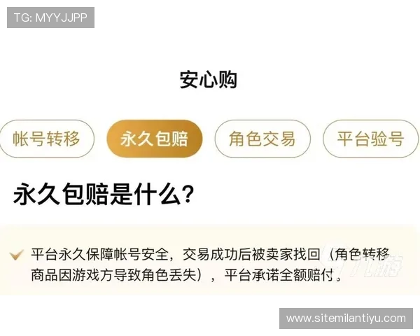 ued娱乐官网安全保障措施，保障玩家账号信息与资金安全的实用技巧